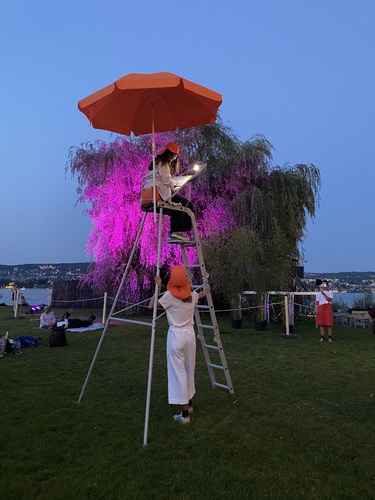 Picture: Zollfreilager Figuren des Figurierens am Theaterspektakel