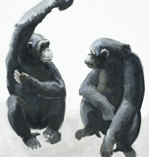 Bild:  Zwischen Affen