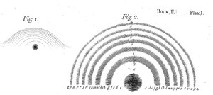 Bild:  Newton's rings