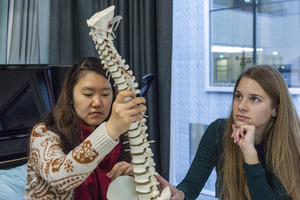 Picture: Musikphysiologie - Kurs Anatomie Oliver Margulies