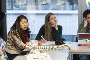 Picture: Musikphysiologie - Kurs Anatomie Oliver Margulies