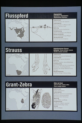 Picture: Zoologische Schautafel