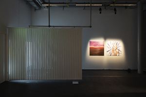 Picture: Full Sleep in Slow Motion_Installation view