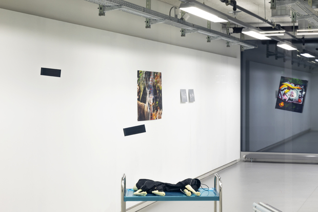 Picture: Tesla of Justice_Installation view