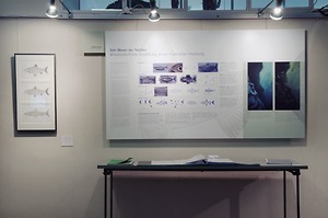 Picture: Scientific Visualization Jahresausstellung 2009