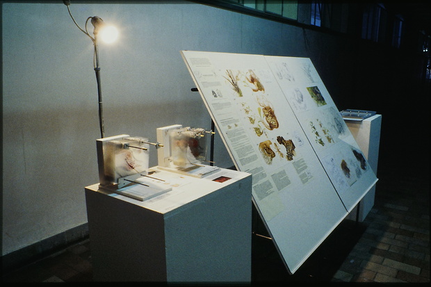 Picture: Diplom 1997: Ausstellungsgestaltung