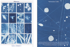 Picture: Die Cyanotypie. Mit der bin ich noch lange nicht fertig. – «Eine Spur Blau»