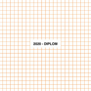 Picture: Titelbild 2020 - Diplom