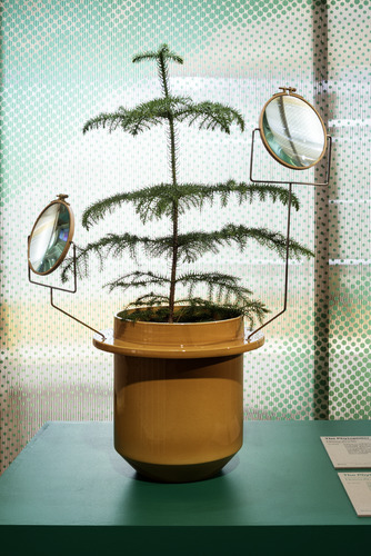 Bild:  Plant Fever – Design aus der Pflanzenperspektive
