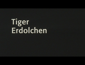 Picture: Tiger erdolchen